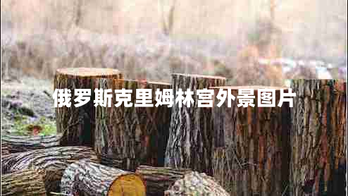 俄羅斯克里姆林宮外景圖片