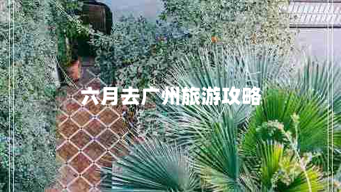 六月去廣州旅游攻略 六月去廣州旅游攻略