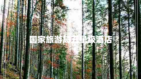 國家旅游局五星級酒店