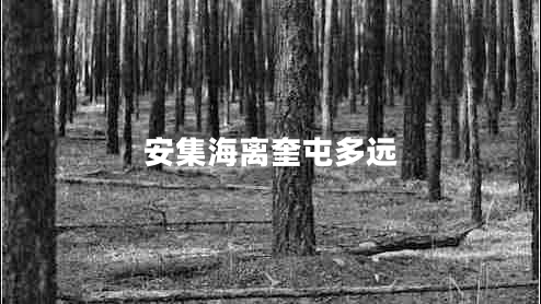 安集海離奎屯多遠(yuǎn)