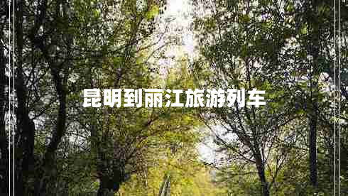 昆明到麗江旅游列車 昆明到麗江旅游列車