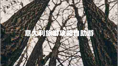 意大利旅游攻略自助游