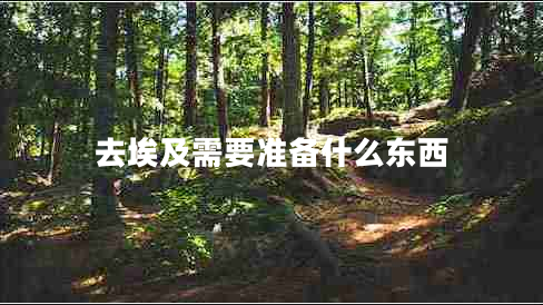 去埃及需要準(zhǔn)備什么東西