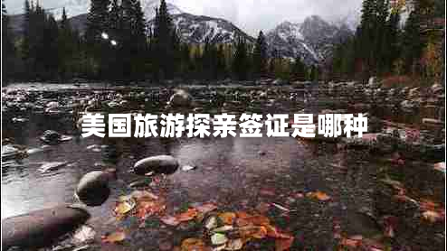 美國(guó)旅游探親簽證是哪種