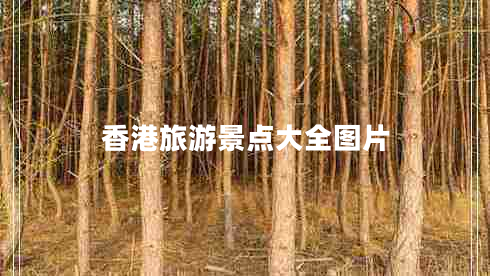 香港旅游景點(diǎn)大全圖片