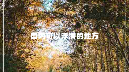 國(guó)內(nèi)可以浮潛的地方