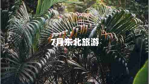 7月東北旅游 7月東北旅游