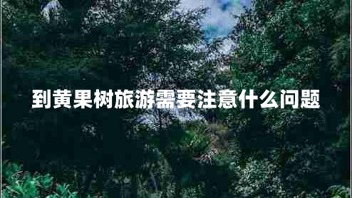 到黃果樹(shù)旅游需要注意什么問(wèn)題