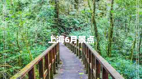 上海6月景點(diǎn)