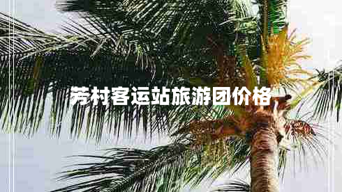 芳村客運(yùn)站旅游團(tuán)價(jià)格 芳村客運(yùn)站旅游團(tuán)價(jià)格