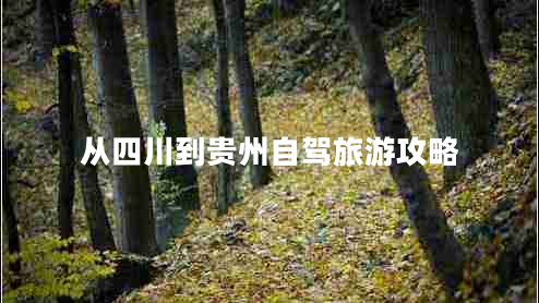 從四川到貴州自駕旅游攻略 從四川到貴州自駕旅游攻略