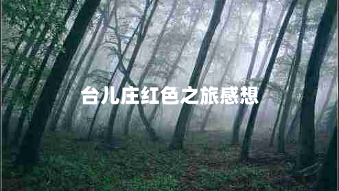 臺兒莊紅色之旅感想