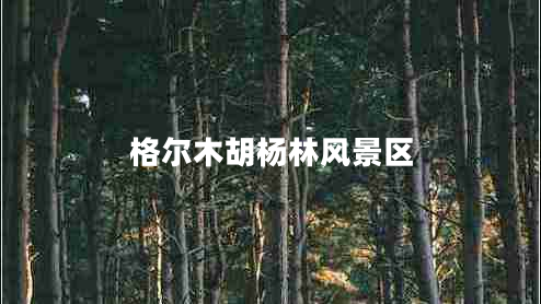 格爾木胡楊林風景區(qū)