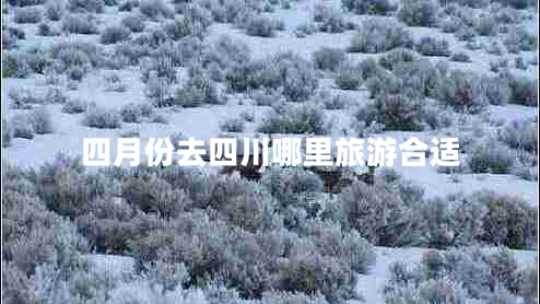 四月份去四川哪里旅游合適