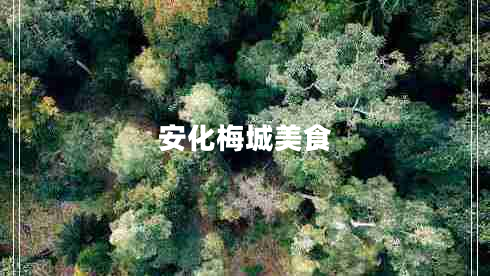 安化梅城美食 安化梅城美食