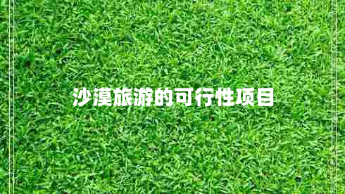 沙漠旅游的可行性項(xiàng)目 沙漠旅游的可行性項(xiàng)目