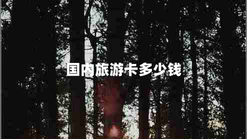 國(guó)內(nèi)旅游卡多少錢