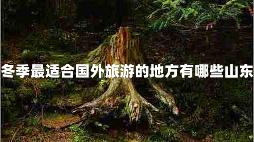 冬季最適合國外旅游的地方有哪些山東