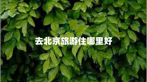 去北京旅游住哪里好 去北京旅游住哪里好