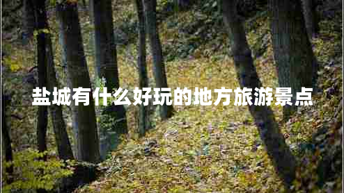 鹽城有什么好玩的地方旅游景點(diǎn)