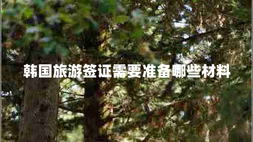 韓國旅游簽證需要準備哪些材料