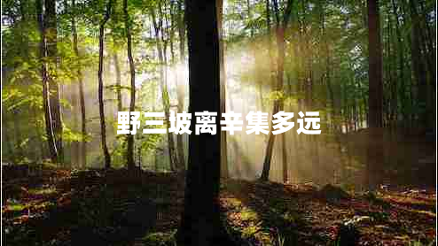 野三坡離辛集多遠