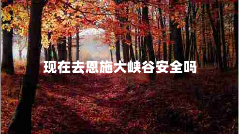 現(xiàn)在去恩施大峽谷安全嗎