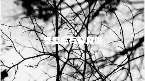 秦皇島有草原嗎