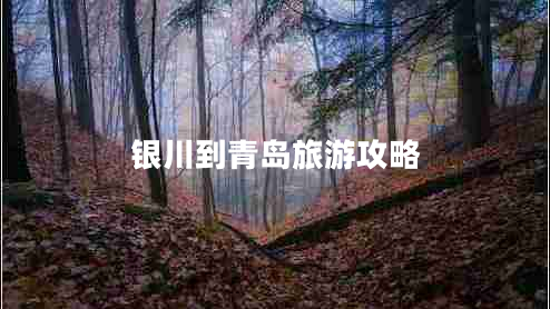 銀川到青島旅游攻略