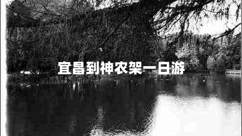 宜昌到神農架一日游