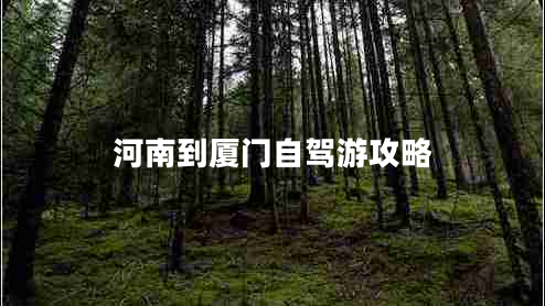 河南到廈門自駕游攻略 河南到廈門自駕游攻略