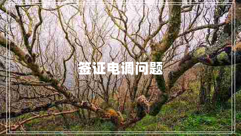 簽證電調(diào)問題