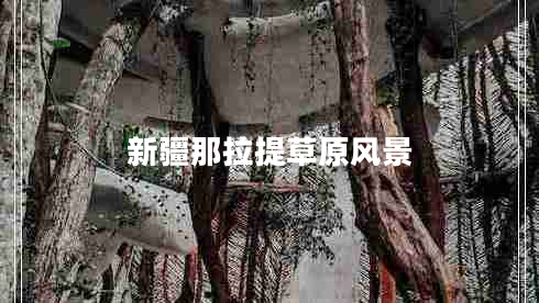 新疆那拉提草原風(fēng)景