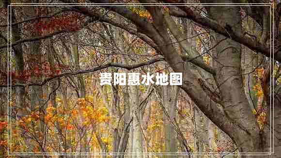 貴陽(yáng)惠水地圖