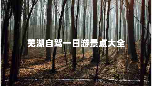 蕪湖自駕一日游景點(diǎn)大全