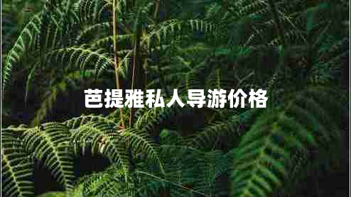 芭提雅私人導(dǎo)游價格