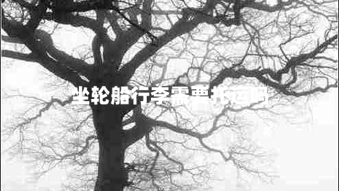 坐輪船行李需要托運(yùn)嗎