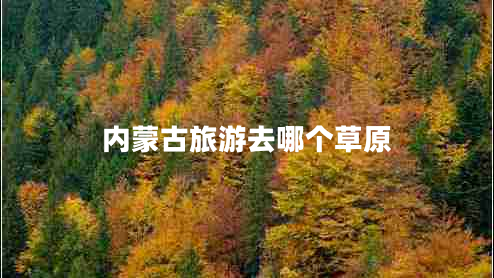 內(nèi)蒙古旅游去哪個(gè)草原