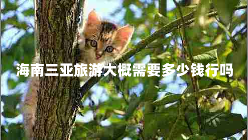 海南三亞旅游大概需要多少錢行嗎 海南三亞旅游大概需要多少錢行嗎