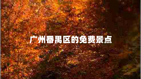 廣州番禺區(qū)的免費景點