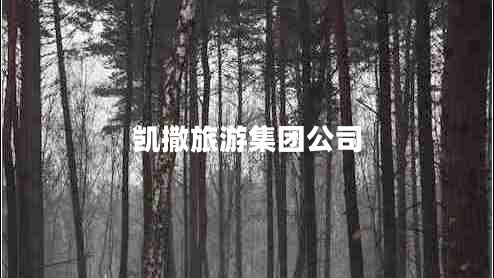 凱撒旅游集團(tuán)公司