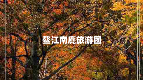鰲江南麂旅游團(tuán)