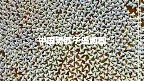 中國(guó)黑瞎子島地圖 中國(guó)黑瞎子島地圖