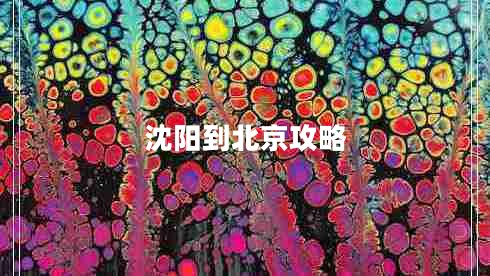 沈陽(yáng)到北京攻略