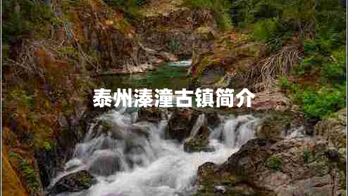 泰州溱潼古鎮(zhèn)簡(jiǎn)介