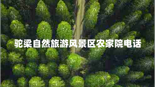 駝梁自然旅游風景區(qū)農家院電話 駝梁自然旅游風景區(qū)農家院電話