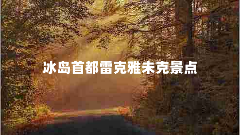 冰島首都雷克雅未克景點 冰島首都雷克雅未克景點