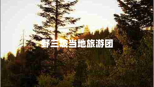 野三坡當(dāng)?shù)芈糜螆F(tuán)