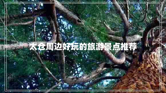 太倉周邊好玩的旅游景點推薦 太倉周邊好玩的旅游景點推薦