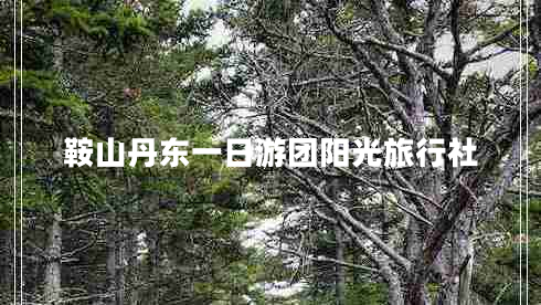 鞍山丹東一日游團(tuán)陽(yáng)光旅行社 鞍山丹東一日游團(tuán)陽(yáng)光旅行社